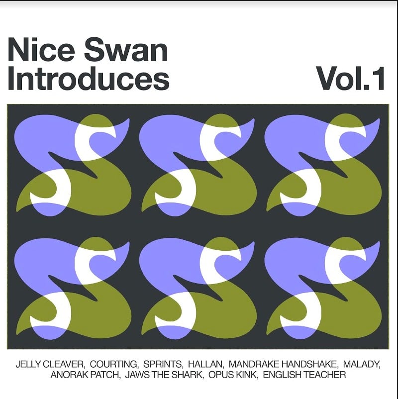 Nice Swan Records — Nice Swan Introduces T Shirt - Limited Edition